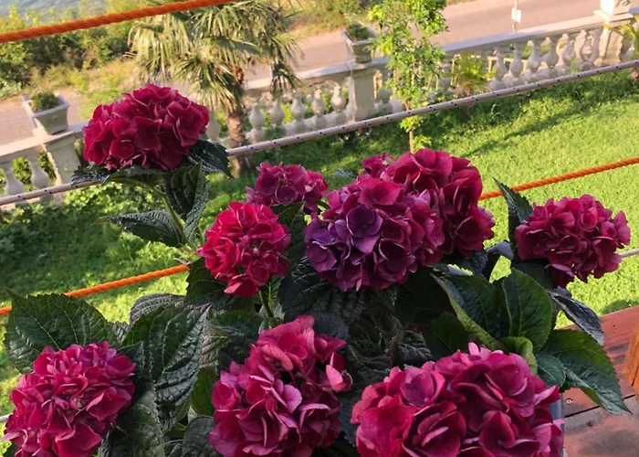 Bed & Breakfast Bella Vista Shkodër